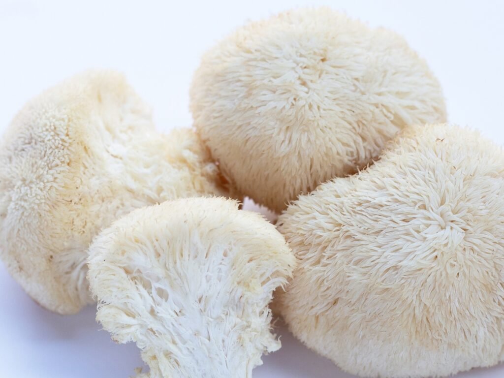 lion's mane mushrooms