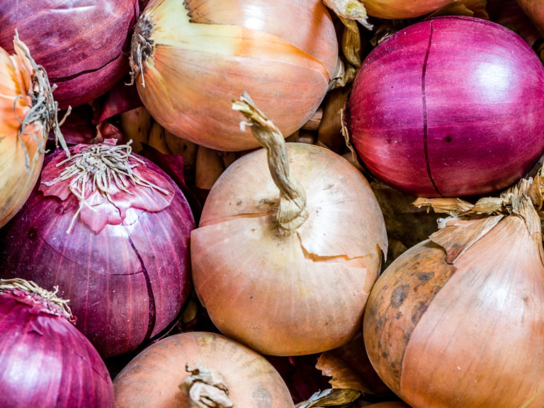 Why Am I Craving Onions? 9 Best Blooming Reasons For Onion Cravings