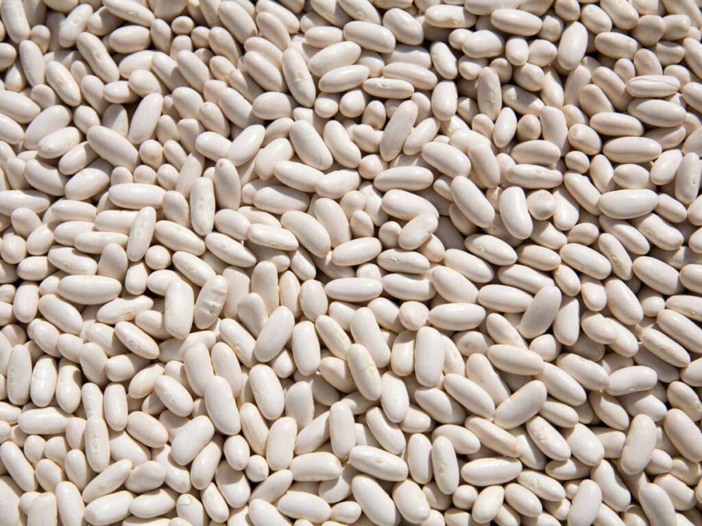 craving beans
