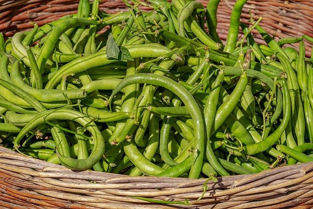 craving beans