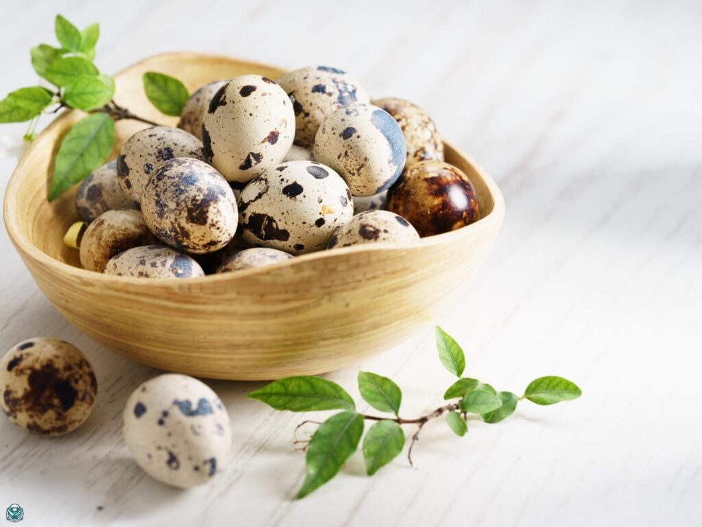 how long to boil quail eggs