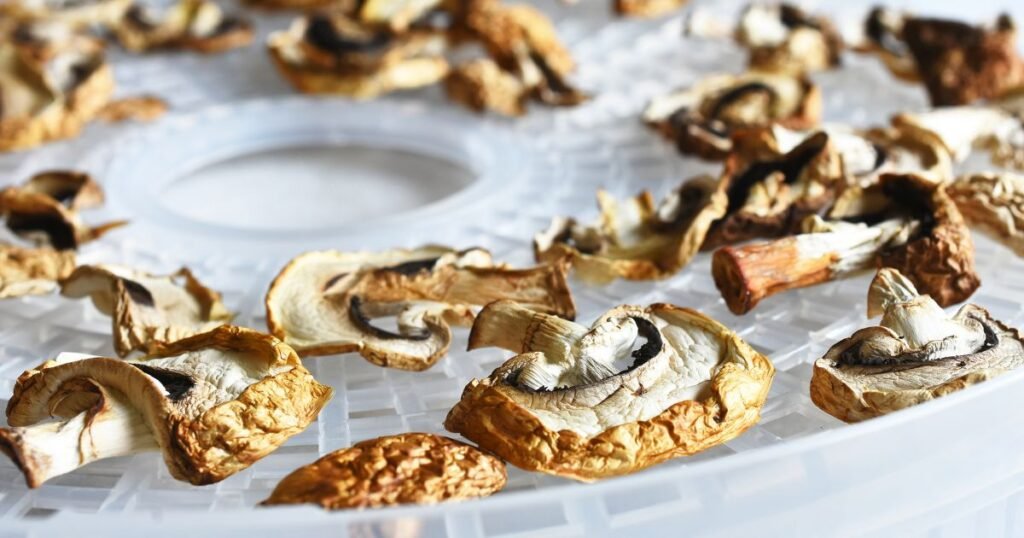Best Dehydrator For Mushrooms: Top 5 Dehydrators of 2026 DEALiciousness