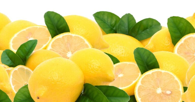 Why Am I Craving Lemons? 7 Reasons For Lemon Cravings