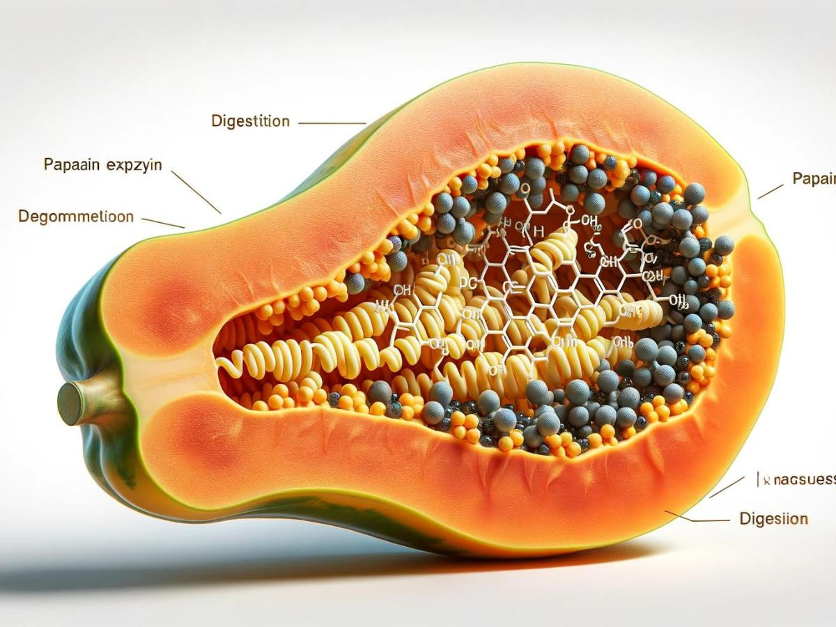 papaya and digestion