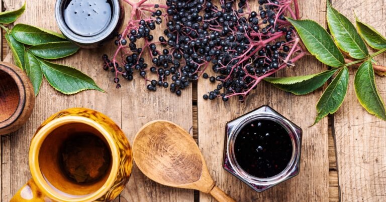 what does elderberry taste like