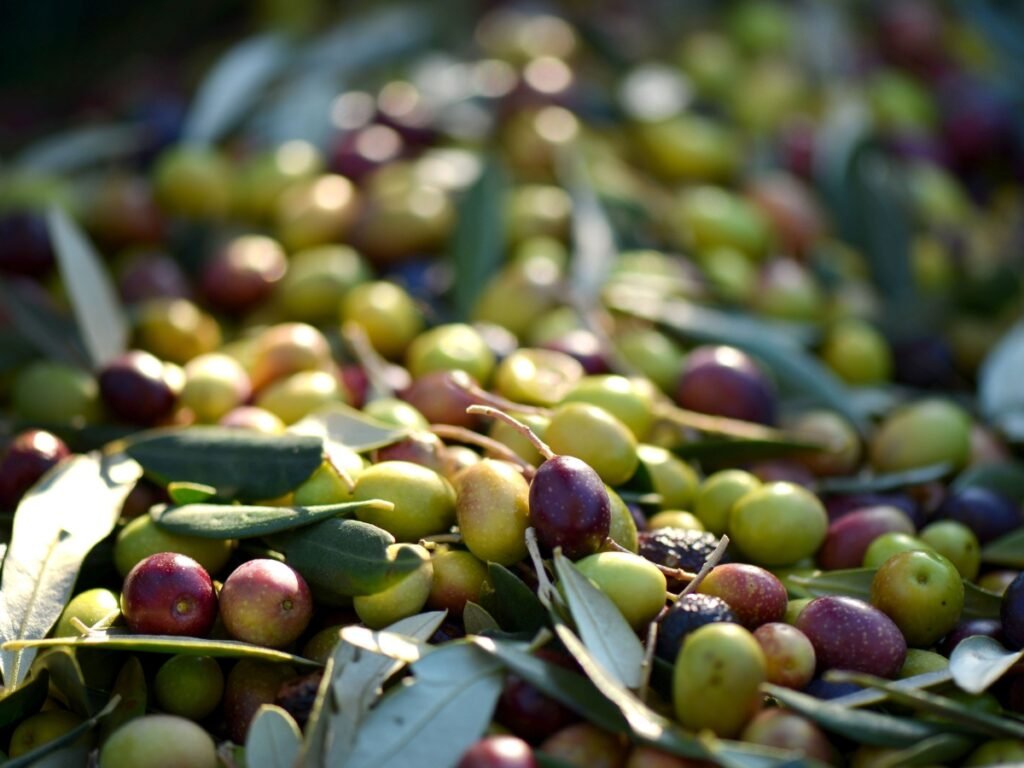 what do olives taste like