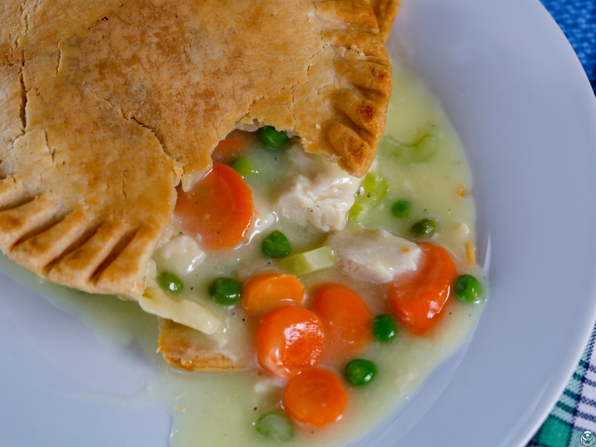 chicken pot pie filling and crust