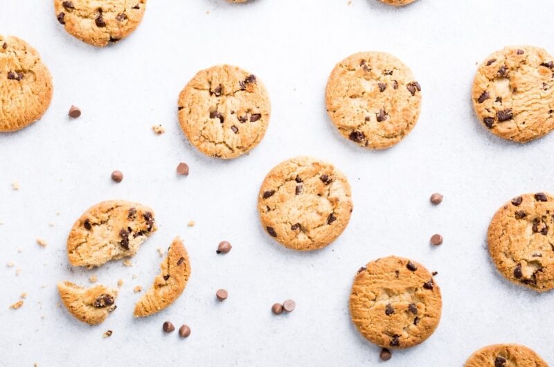 chocolate chip cheesecake cookie