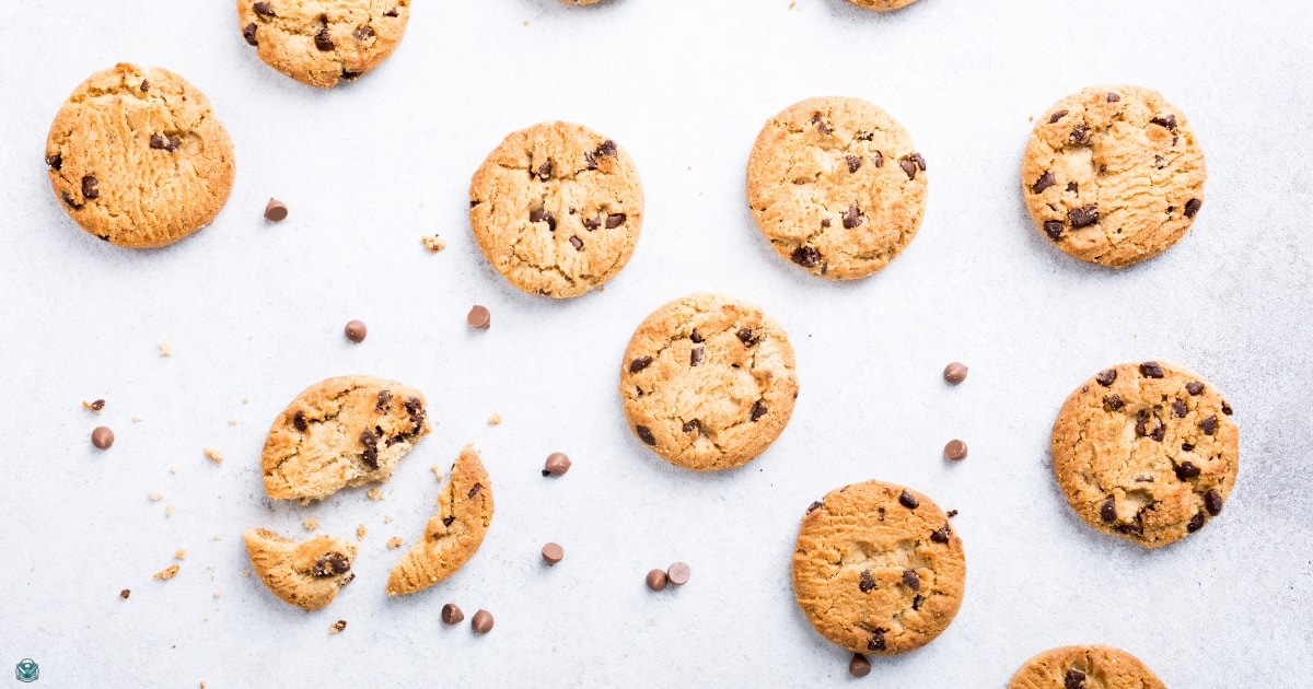 chocolate chip cheesecake cookie