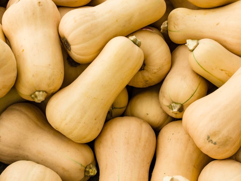 Butternut Squash