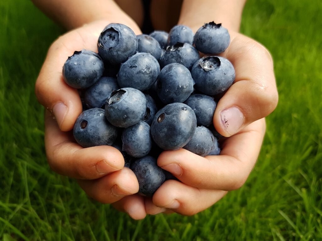 blueberries