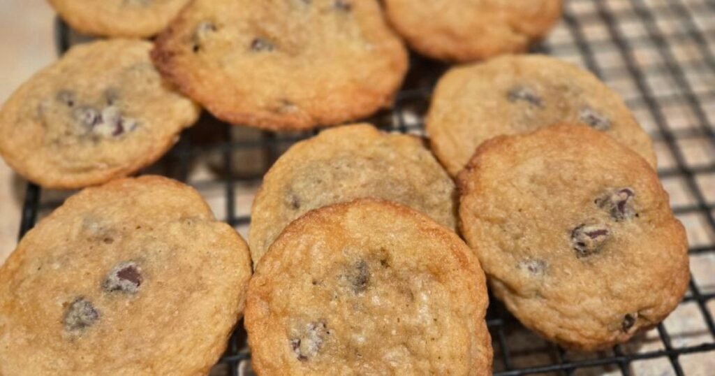 Sourdough Discard Chocolate Chip Cookies
