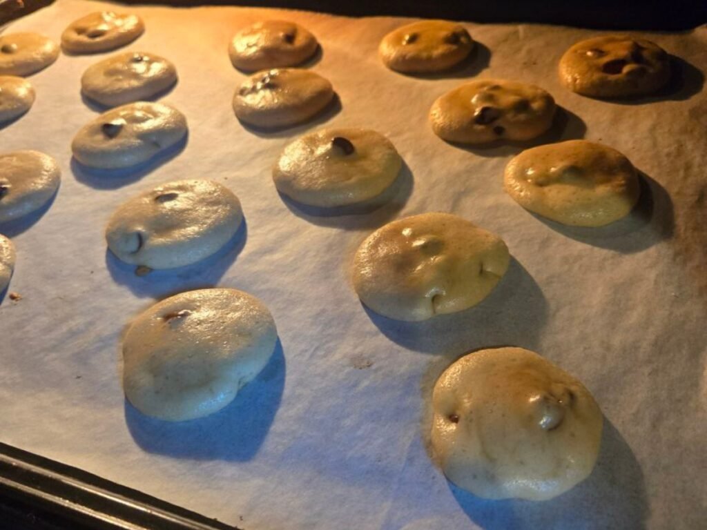 Sourdough Discard Chocolate Chip Cookies